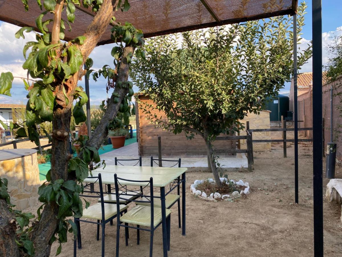 Alojamiento Rural Setenil Setenil De Las Bodegas エクステリア 写真